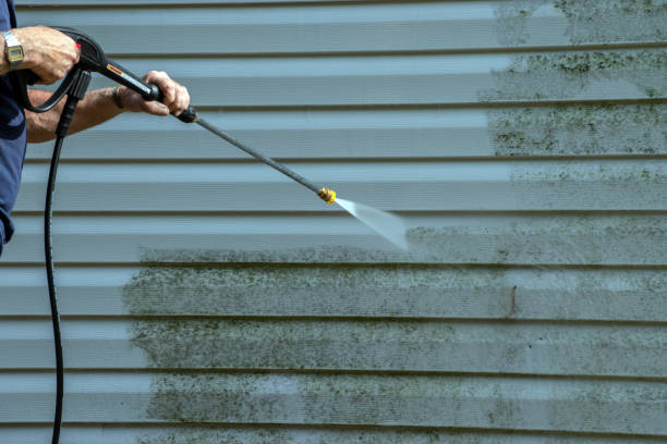 Best Commercial Pressure Washing  in Jackson, TN