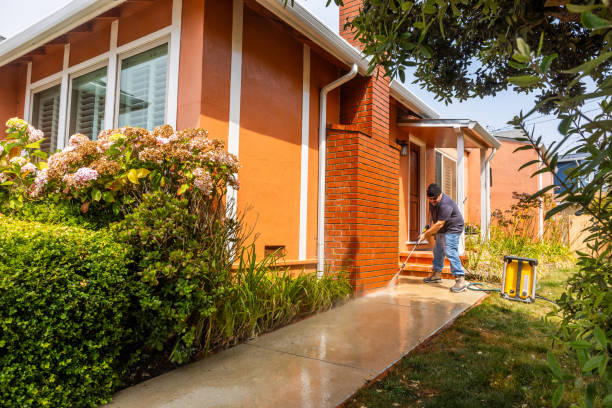 Best Pressure Washing Company Near Me  in Jackson, TN