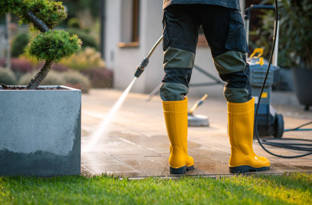 Best Sidewalk Pressure Washing  in Jackson, TN